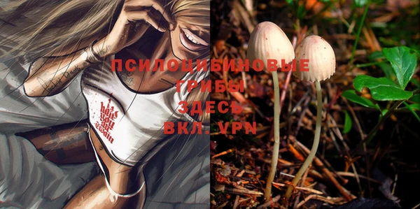 марки lsd Медногорск