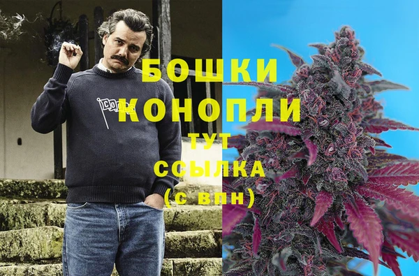 сатива Магадан