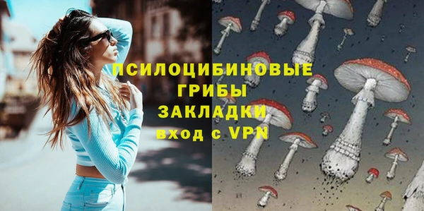 амф Мегион
