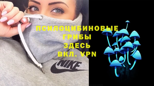 амф Мегион