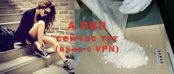 гашик Майский