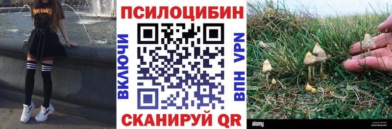 Галлюциногенные грибы ЛСД  Куровское 